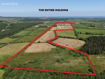 46.3 Residential Holding At Kilgarvan, Ballylongford, Co. Kerry