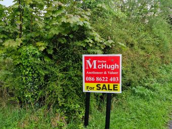 Newgrove, Kilrickle, Loughrea, Co. Galway - Image 4