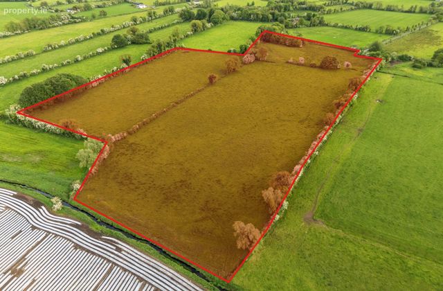 Correaly, Streete, Co. Westmeath - Click to view photos