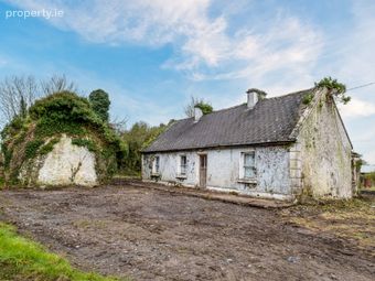 Graigueagowan, Portumna, Portumna, Co. Galway