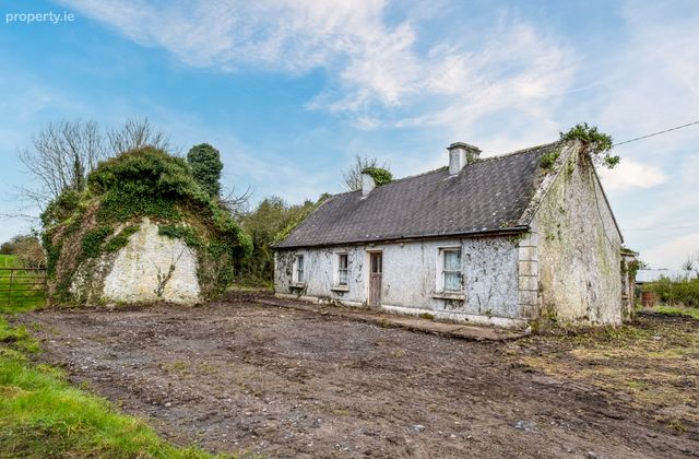 Graigueagowan, Portumna, Co. Galway, Portumna, Co. Galway - Click to view photos