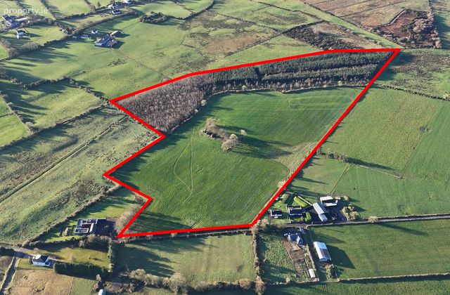 Killeenan More, Brownsgrove, Tuam, Co. Galway - Click to view photos