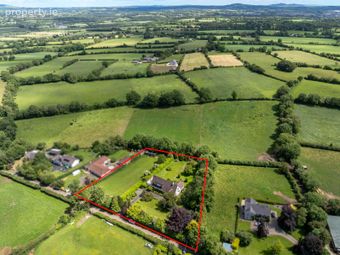 Papion, Tinnaranny, Rosbercon, New Ross, Co. Kilkenny - Image 3