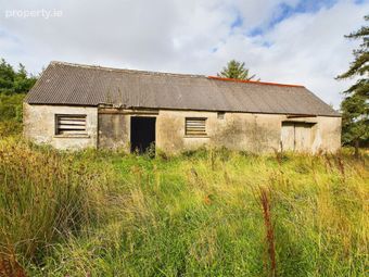 Tullagower, Cooraclare, Kilrush, Co. Clare, Cooraclare, Co. Clare - Image 3