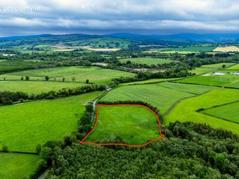 Grange, Clareen, Co. Offaly, Clareen, Co. Offaly - Image 5