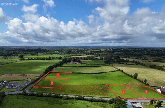 Derreen, Kiltormer, Co. Galway - Click to view photos