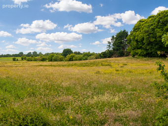 Cloongullane, Swinford, Co. Mayo, Swinford, Co. Mayo - Image 3