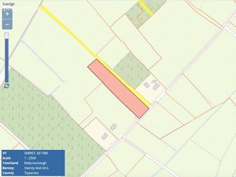 Ballymackeogh, Newport, Co. Tipperary, Newport, Co. Tipperary