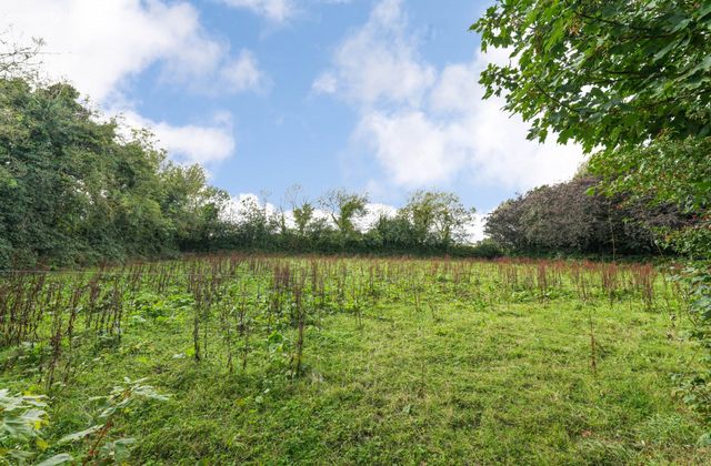 Colvinstown, Tara, Co. Meath, Tara, Co. Meath - Click to view photos
