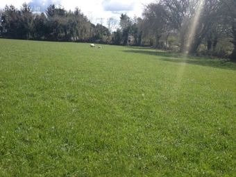 Broomfield, Slane, Co. Meath