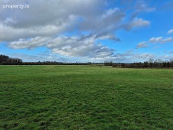 6.424 Acres For Sale In Liskeavy, Liskeavy, Tuam, Co. Galway, Kilconly, Co. Galway