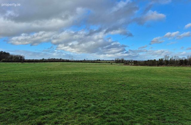6.424 Acres For Sale In Liskeavy, Liskeavy, Tuam, Co. Galway, Kilconly, Co. Galway - Click to view photos