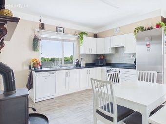 Killasmeestia, Ballybrophy, Borris-in-Ossory, Co. Laois - Image 5