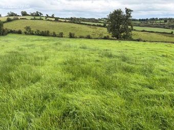 Doon, Teirworker, Kells, Co. Meath - Image 2