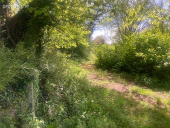 Ballybane, Ballinlough, Ballinlough, Co. Roscommon - Image 4