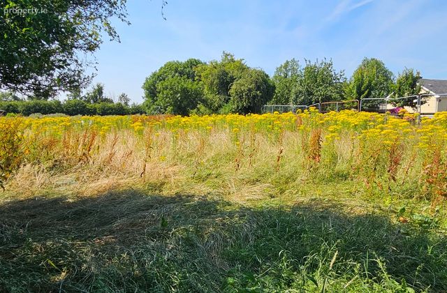 C.0.815 Acres At Kilcloncorkry, Rathangan, Co. Kildare - Click to view photos