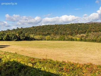 Dysertmore Estate, Inistioge, Co. Kilkenny, Inistioge, Co. Kilkenny - Image 5