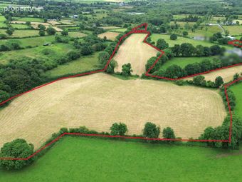Leab, Elfeet (burke), Newtowncashel, Co. Longford - Image 2