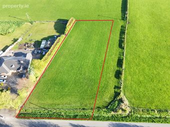 Wood Of O, Tullamore, Co. Offaly, Derrygrogan, Co. Offaly - Image 3