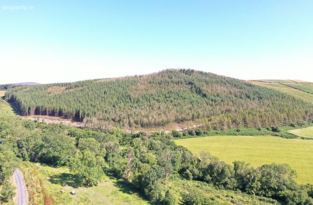 Saddle Hill, Blessington, Thomastown, Co. Kilkenny - Click to view photos