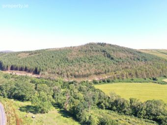 Saddle Hill, Blessington, Thomastown, Co. Kilkenny