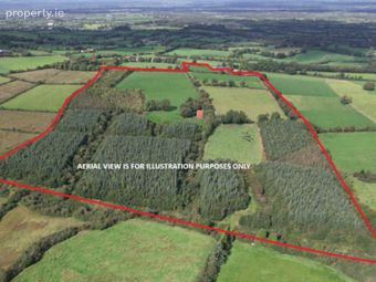 Barnagarrane, Dromcolliher, Co. Limerick, Dromcolliher, Co. Limerick - Image 2