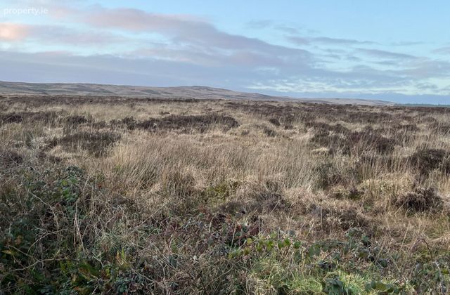 Bohatch, Mountshannon, Co. Clare - Click to view photos