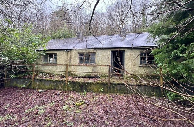 Stonepark, Ballinlough, Co. Roscommon - Click to view photos