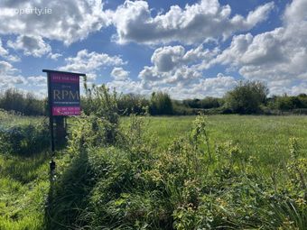 Ballagh, Raheenagh, Newcastle West, Co. Limerick, Newcastle West, Co. Limerick - Image 3