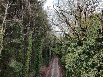 Adoon, Gorvagh, Co. Leitrim - Image 4