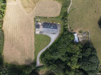 Eighter, Virginia, Co. Cavan - Image 3