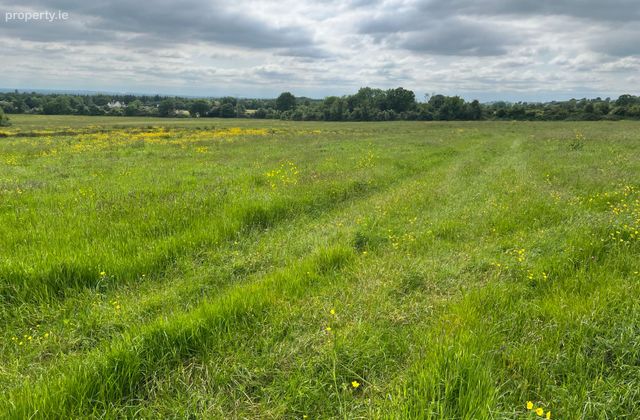 Lynch's Cross, Tullyallen, Co. Louth - Click to view photos