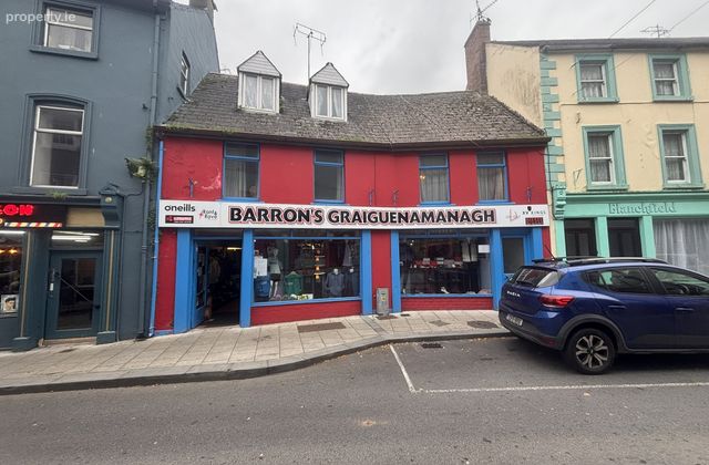 Lower Main Street, Graiguenamanagh, Co. Kilkenny - Click to view photos