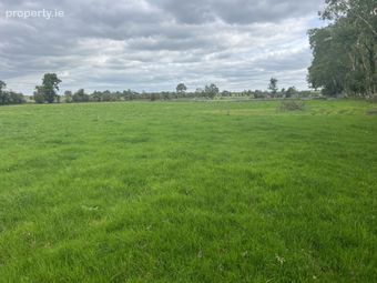 Belleville, Monivea, Co. Galway