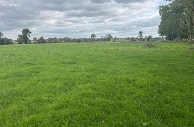 Belleville, Monivea, Co. Galway - Click to view photos