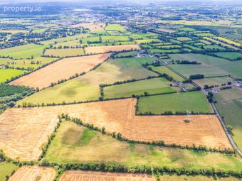 32.6 Acres Ballygibbon East, Carbury, Co. Kildare, Carbury, Co. Kildare - Image 3