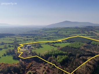 Mount Coggill, Griffinstown, Borris, County Kilkenny, Goresbridge, Co. Kilkenny - Image 2