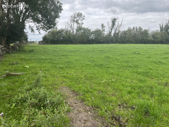 Belleville, Monivea, Co. Galway - Image 2