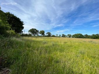 Burnchurch, Cuffesgrange, Co. Kilkenny, Cuffesgrange, Co. Kilkenny - Image 2