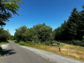 Forestry Land At Smithstown, Mullinavat, Co. Kilkenny, Mullinavat, Co. Kilkenny - Image 3