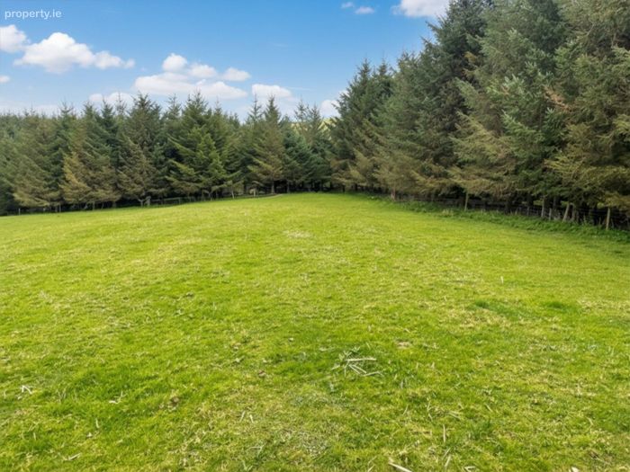Land c. 20.16 acres/ 8.16 Ha., Punchestown Upper, Kilteel, Co. Kildare ...