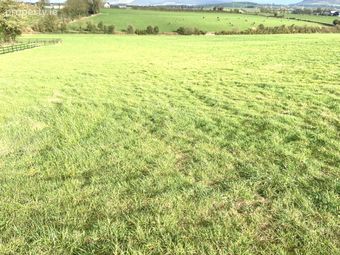 Tully 35 Ht67, Glenroe, Co. Limerick