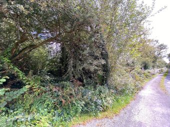 Lemonfield, Oughterard, Co. Galway - Image 3