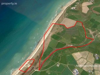 Ringbawn/ballagh Land (132.5 Acres), Tacumshane, Co Wexford, Tacumshane, Co. Wexford - Image 2