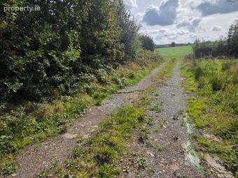 Puckstown, Dunleer, Co. Louth - Image 3