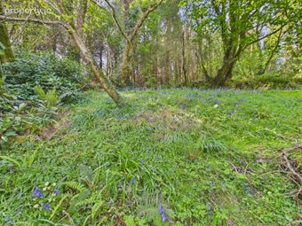 Edenvale Cottage, Castlebridge, Co. Wexford - Image 3