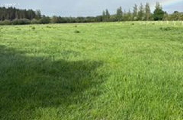 Pollanaskan, Breaffy, Castlebar, Co. Mayo - Click to view photos