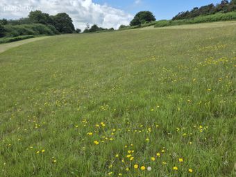 Inchirahilly, Farnanes, Co. Cork - Image 2