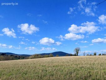 Garraun Upper (c. 87 Acres), Rathnure, Enniscorthy, Co. Wexford, Enniscorthy, Co. Wexford