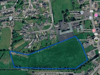 Agricultural Land, Abbey Meadows, Castledermot, Co. Kildare, Castledermot, Co. Kildare - Image 5